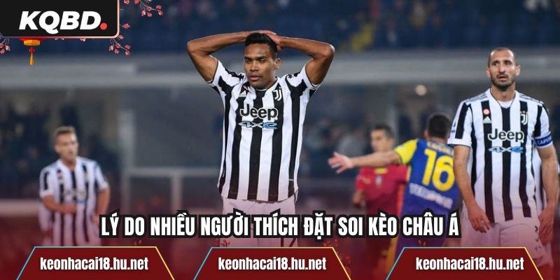 Lý do nhiều người thích đặt soi kèo châu Á