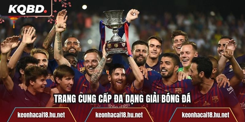 Trang cung cấp đa dạng giải bóng đá